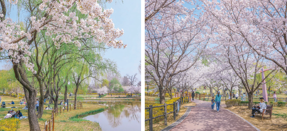 Taman Keluarga Yongsan