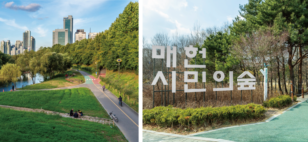 Maeheon’s Citizen Forest