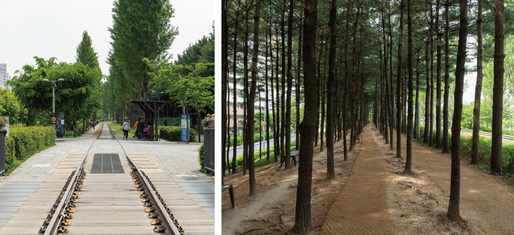 Gyeongchun Line Forest Trail (Rel Kereta Api)