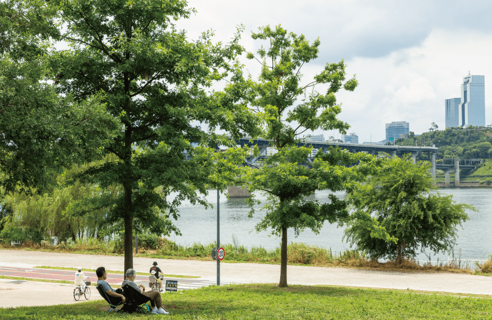 Ttukseom Hangang Park