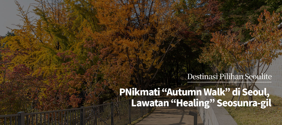 Nikmati “Autumn Walk” di Seoul, Lawatan “Healing” Seosunra-gil