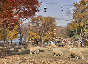 Seoul Grand Park