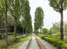 Gyeongchun Line Forest Trail