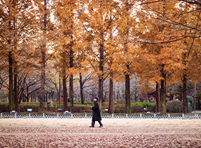 Seoul Forest