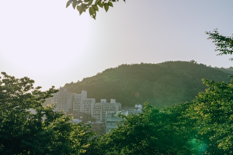 Baengnyeonsan Mountain