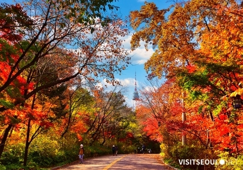 Autumn Trail, Laluan Penjalan Kaki di Selatan Namsan