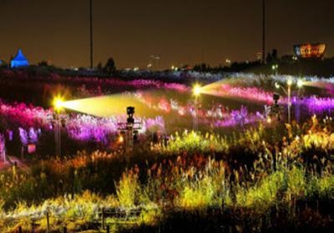 Night Views at Haneul Park