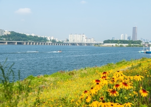 Ichon Hangang Park