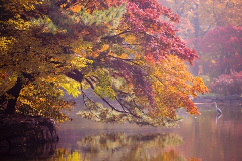 Chundangji Pond