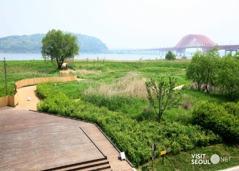 Gangseo Marsh Ecological Park